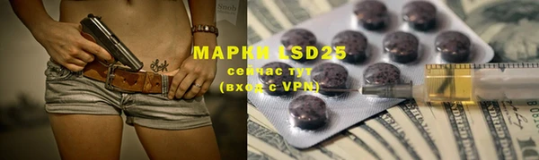 PSILOCYBIN Армянск