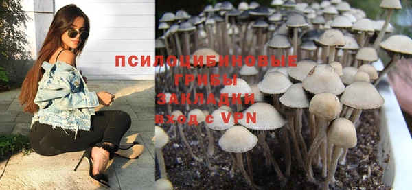 PSILOCYBIN Алзамай