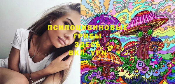 PSILOCYBIN Армянск