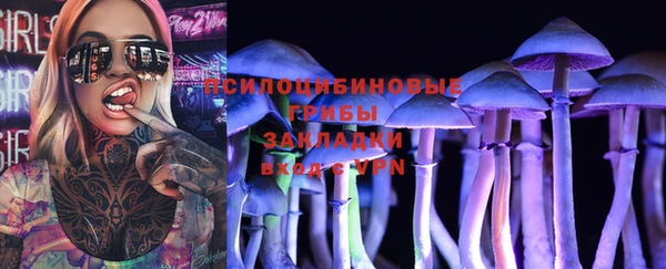 не бодяженный Аркадак