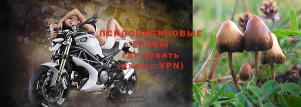 не бодяженный Аркадак
