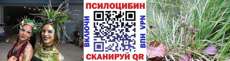 наркота  Байкальск  Псилоцибиновые грибы Psilocybine cubensis 